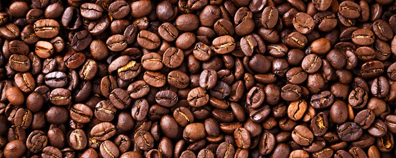 咖啡豆是属于什么种类,咖啡豆是不是豆吗