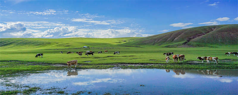 内蒙古有哪一些景点,内蒙古会有哪些景点
