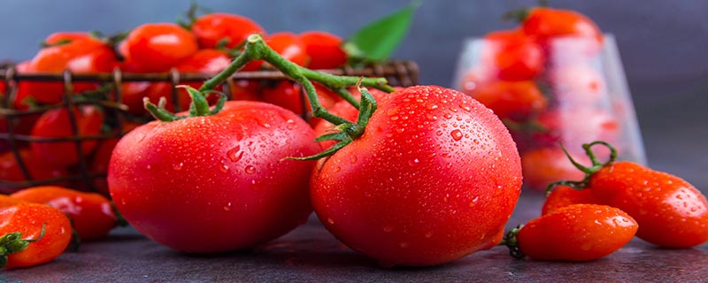 番茄属于西红柿吗,番茄是不是西红柿