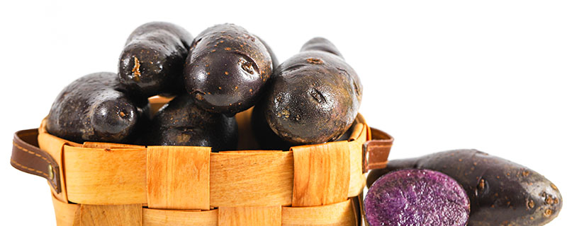 紫土豆属于转基因吗,紫土豆是不是转基因