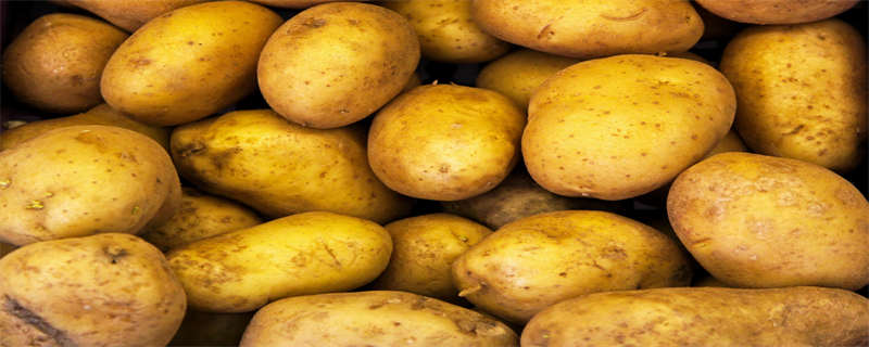 红皮土豆是不是转基因,红皮土豆会不会是转基因的