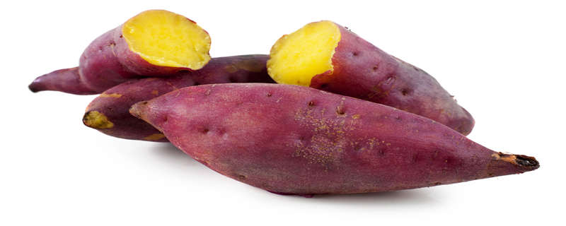 红皮土豆是不是转基因,红皮土豆会不会是转基因的