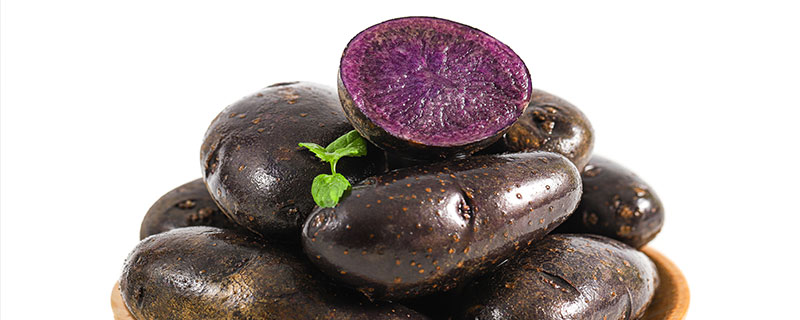 紫土豆属于转基因吗,紫土豆是不是转基因