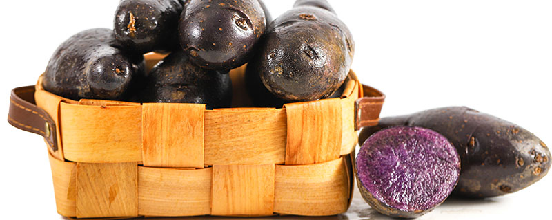 紫色土豆属于马铃薯吗,紫色土豆是不是马铃薯