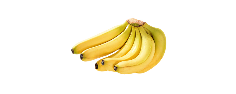 芭蕉和香蕉的区别是什么,芭蕉和香蕉的区别