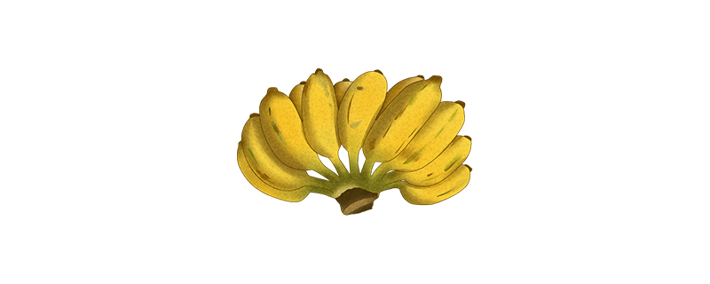 芭蕉和香蕉的区别是什么,芭蕉和香蕉的区别